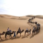 Sahara Tours Morocco