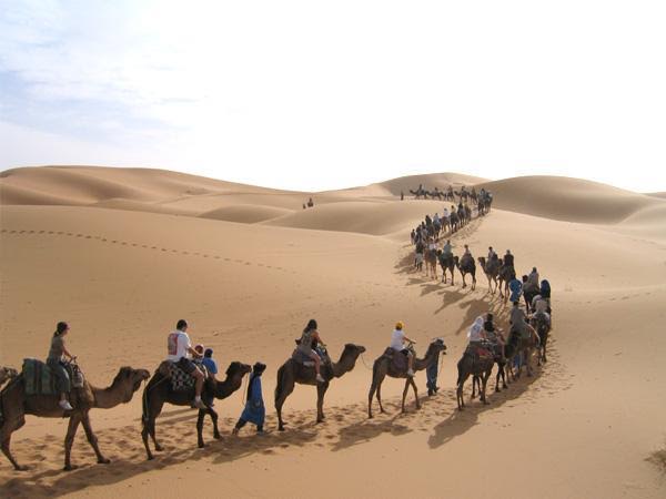Sahara Tours Morocco