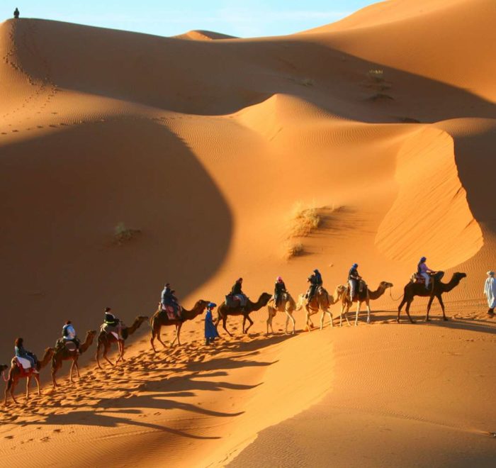 Camel Excursions Morocco