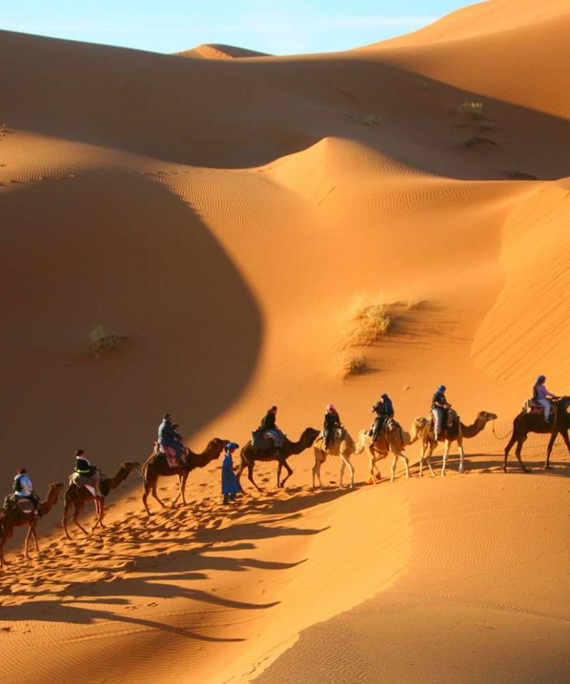 Camel Excursions Morocco
