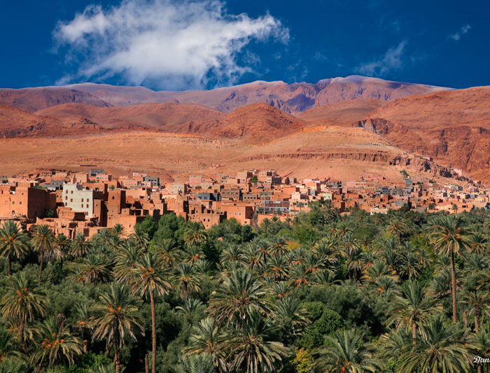 Marrakech Atlas Tour
